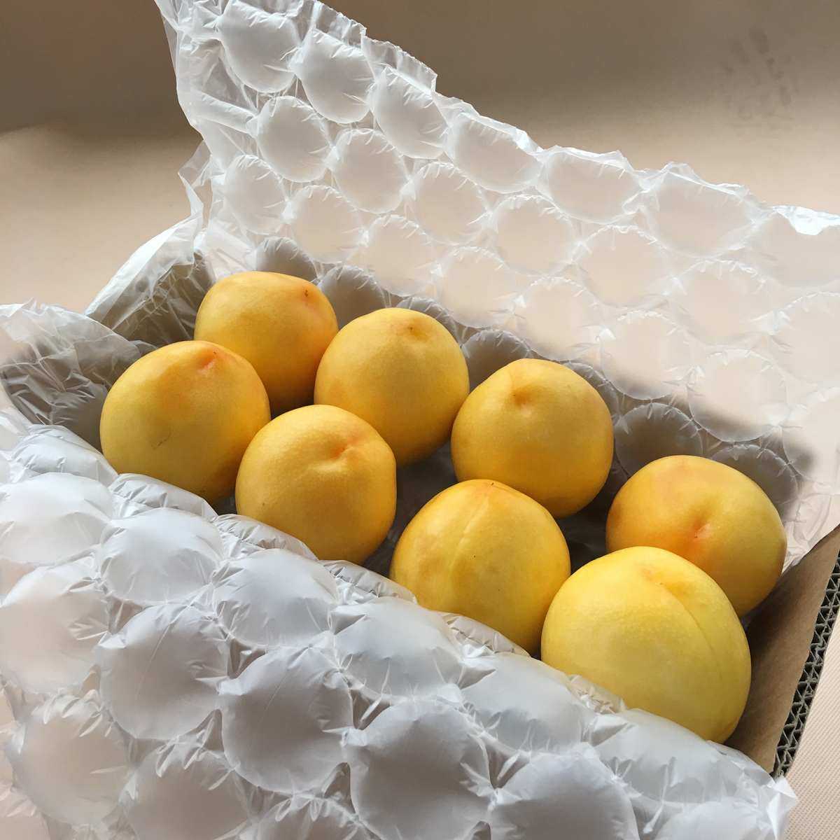 葫芦膜气泡膜卷气泡柱中泡40*30cm饮料水果零食填充运输防护打包