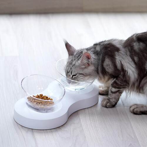 新款直销宠物用品可调节猫碗猫咪喝水碗饮水猫食盆斜口透明猫喂粮