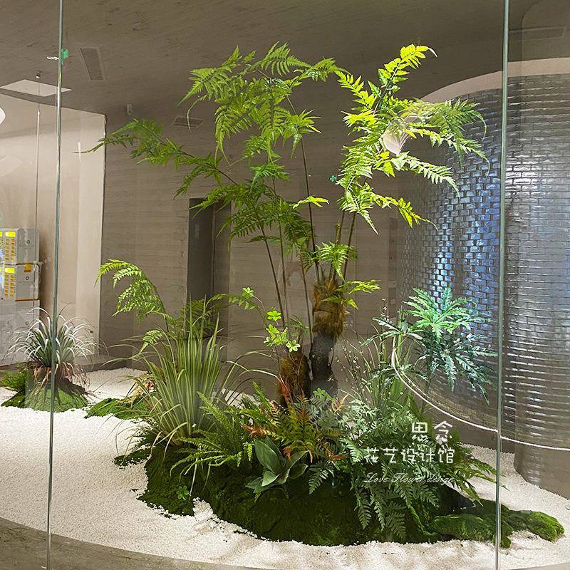 金丝猴蕨树简约高逼格办公室橱窗设计大绿植物意境装饰置艺术