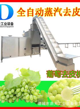 葡萄蒸汽去皮机罐头加工剥皮机速冻葡萄加工设备鼎大工业