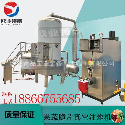 油炸果蔬脆片机器低温真空油炸机小型大型都可