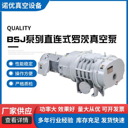 BSJ系列罗茨真空泵