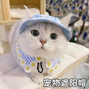 小猫帽子猫咪渔夫帽狗狗柯基拍照夏季薄款小狗防晒夏遮阳防勒耳朵