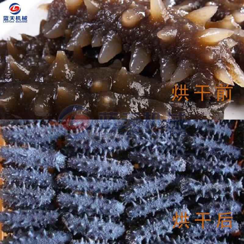海参烘干机 大型海鲜海产品脱水烘干房 海鼠海瓜刺参干货烘干设备