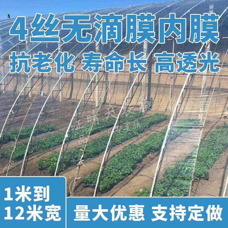 4丝无滴膜二层膜po膜内膜进口大棚膜整卷保暖防寒加厚农用