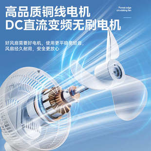 林边空气循环扇家用大风力智能语音直流落地扇卧室氛围夜灯电风扇