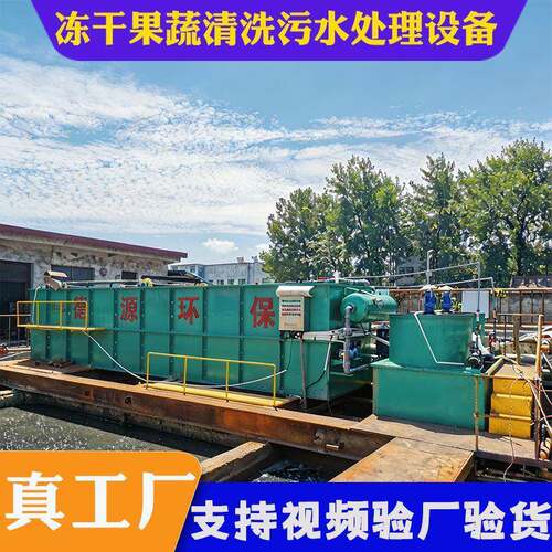 源头厂家冻干果蔬清洗加工污水处理设备可定制气浮机出水达标