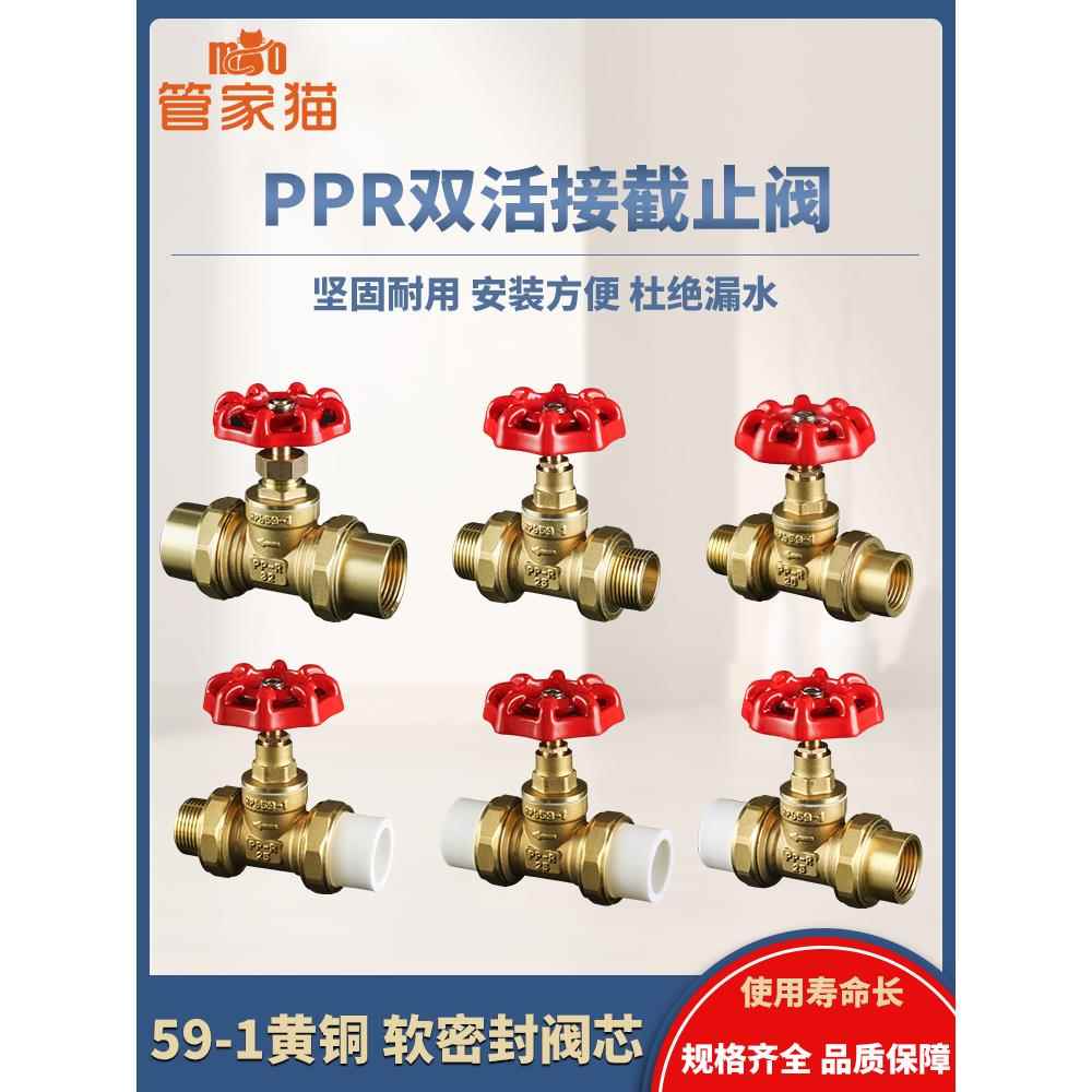 黄铜ppr截止阀入户水管总阀门pe管4分6分1寸软密封闸阀自来水开关