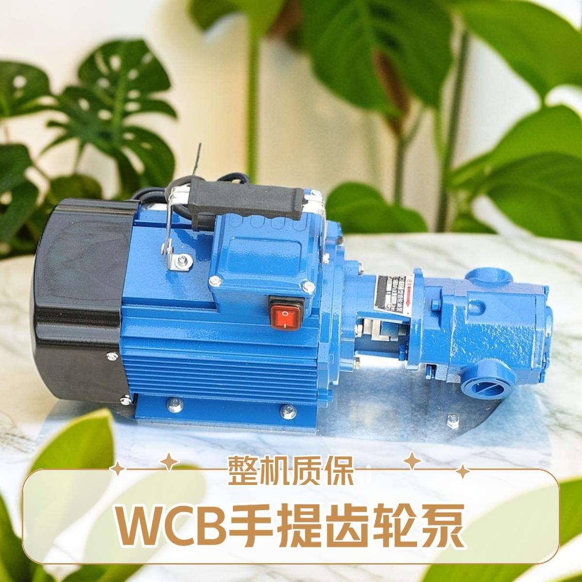 酷瑞WCB齿轮泵 耐磨损齿轮输油泵 手提式柴油齿轮油泵