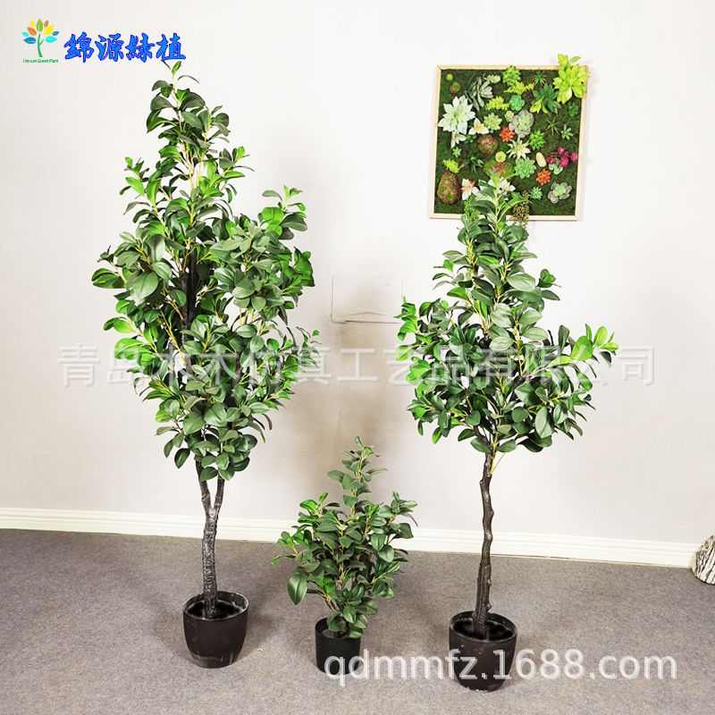 树仿真叶叶【植物手感豆瓣胶树批发豆瓣】落地假家居装饰盆景室内