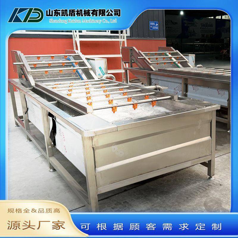 大型果蔬气泡清洗机水果蔬菜洗菜机高压喷淋式中草药五金件去污