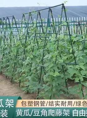 园艺花架种植箱爬藤架阳台植物支撑杆庭院月季花黄瓜组合套葡萄架