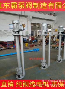 液下泵无堵塞排污泵长轴泵腋下化粪池泵YW150-130-30-22KW