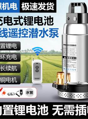 无线 线抽水泵遥控充电式小型锂电池家农用大功率浇菜可携式直流