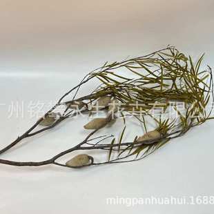 木梨干花批发进口花材装饰品花艺家居插花拍摄背景工具植物