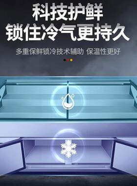 新款直销雪潮阶梯保鲜柜商用多功能双温双控海鲜烧烤冷冻点菜柜明