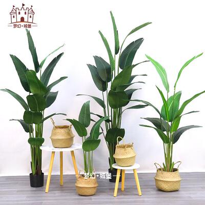 仿真植物室内装饰道具摆件天堂鸟橱窗景观绿植植物盆栽仿真旅人蕉