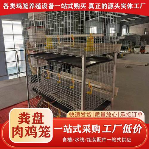 粪盘肉鸡笼养殖鸡笼家用家禽镀锌农用养鸡棚镀锌防锈四层机械蛋鸡