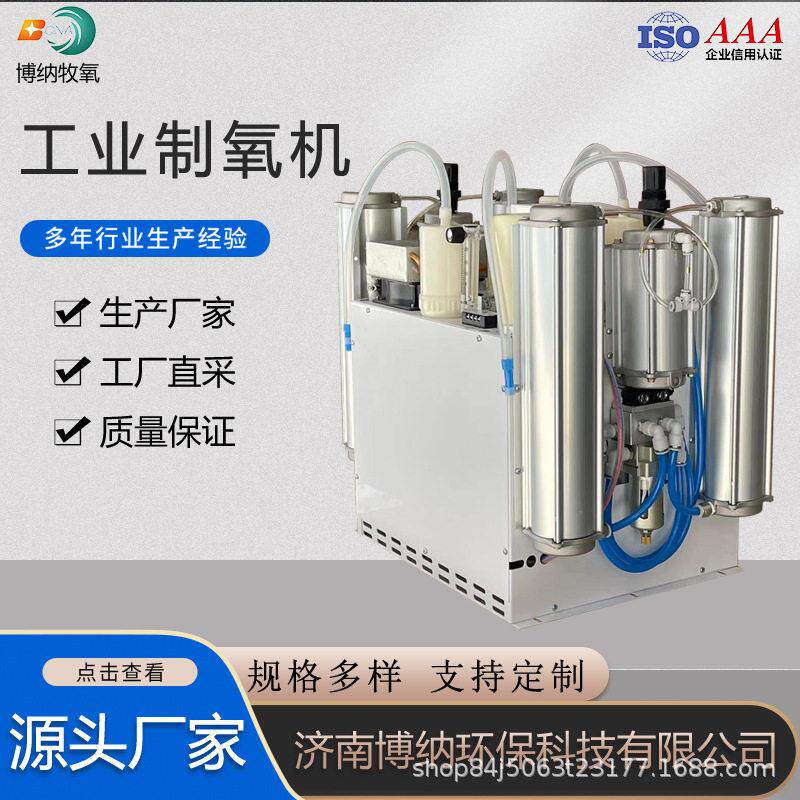 博纳10L20L小型工业制氧机黄金玻璃琉璃灯工助燃制氧机
