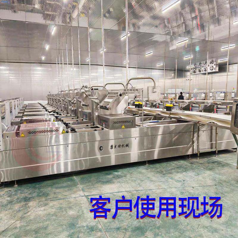 全自动川粉小型拉伸膜真空包装机器皮冻肉冻拉伸膜真空包装机