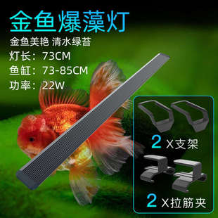 专用led【藻增色吉金鱼寿印爆】灯鱼缸厂家艳灯照明灯防水增灯兰