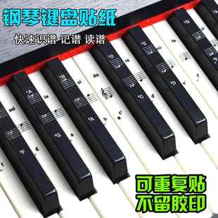 88键61键54键37键32健钢琴键盘琴键贴膜电子琴五线谱贴纸