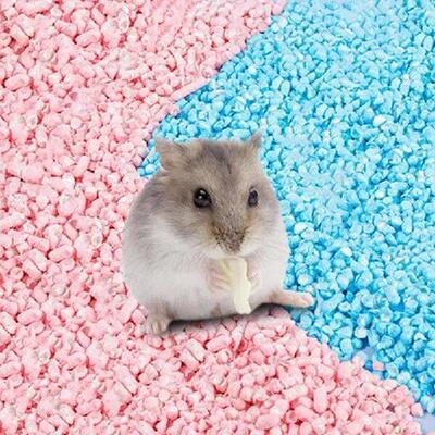 Hamster Bedding Small Pet Bedding Colorful Paper Litter