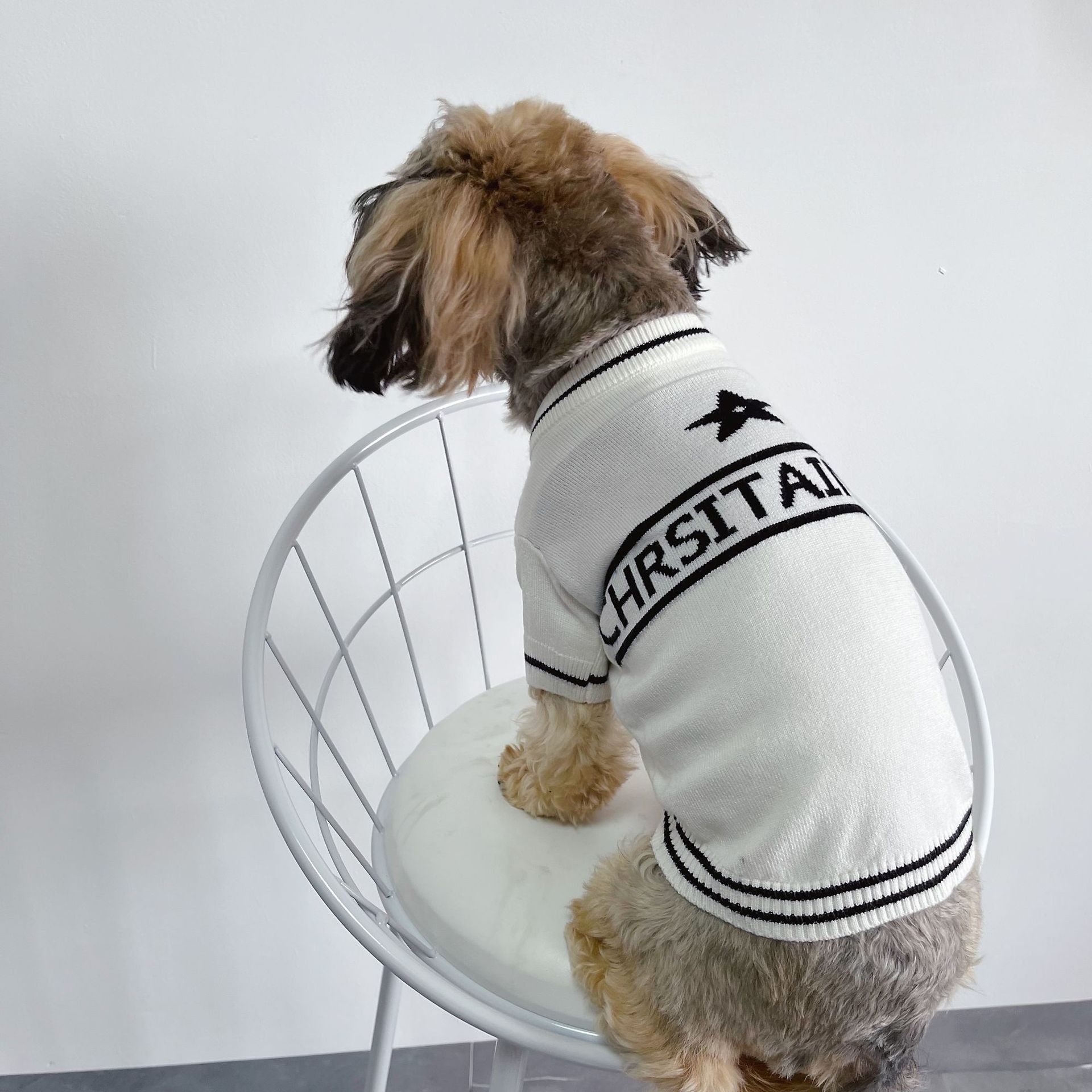 泰迪博美法宠物春秋潮牌纯色雨衣