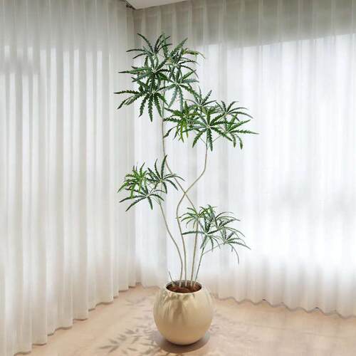 诧寂风仿真绿植盆栽孔雀木室内客厅落地植物装饰沙发旁电视柜摆件