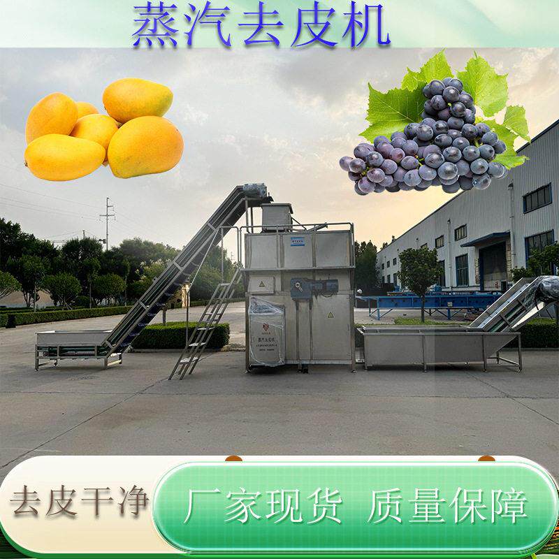 全自动葡萄蒸汽去皮机黄桃头去皮加工设备葡萄生产流水线