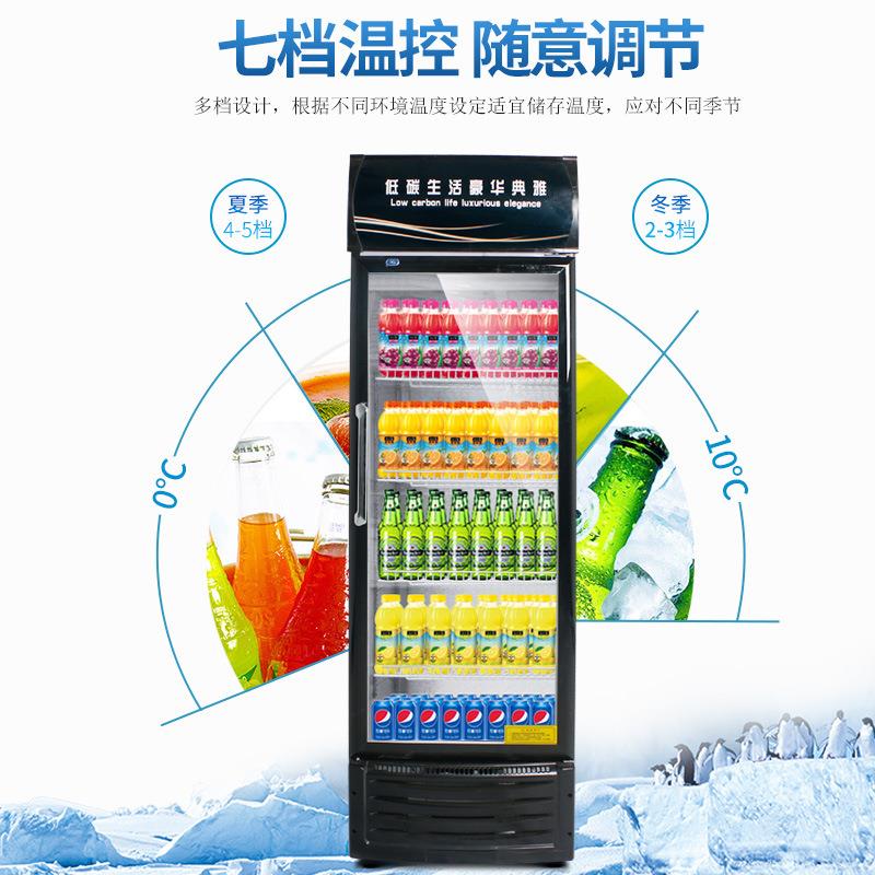 啤酒直料 超柜市饮柜单门双门三门冷藏展示柜供立式鲜花保无品牌/