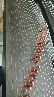 双11准备买古筝，打听下仙声古筝好吗？这个牌子的古筝质量怎么样？