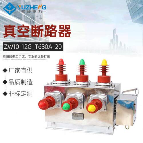 厂家供应ZW10-12G/T630A-20真空断路器12KV户外高压双电源带隔离