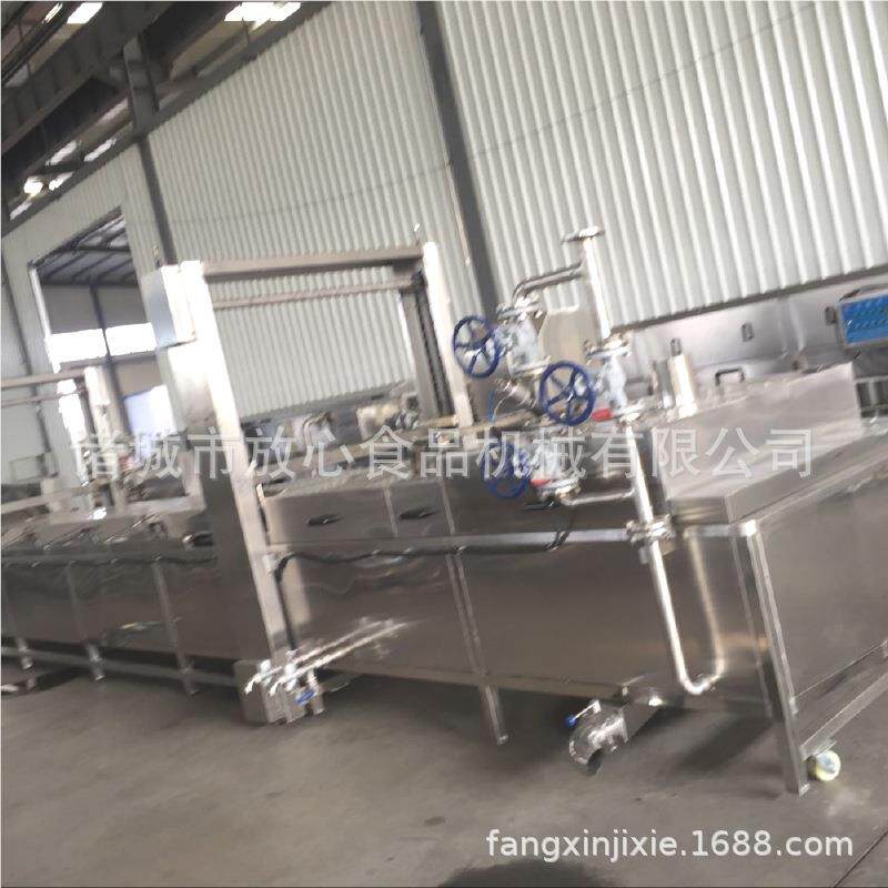 杀双层网巴氏菌机 瓜红薯漂烫流水线 FX-800蔬地菜蒸带煮漂烫机厂