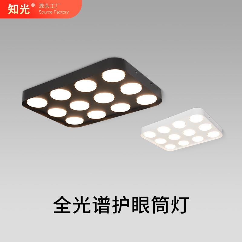 明装筒灯GX53替换光源可调角度无主灯客厅灯照明斗胆灯12头吸顶式