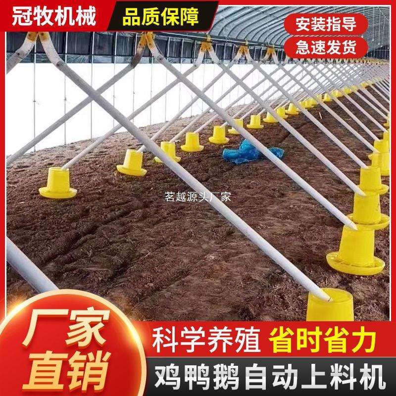 养鸡场自动喂料机养鸭自动喂料机投料机绞龙料线鸡鸭鹅用简易料线