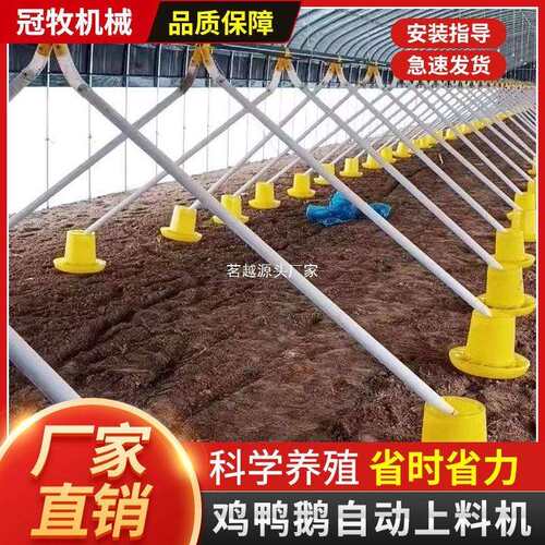 养鸡场自动喂料机养鸭自动喂料机投料机绞龙料线鸡鸭鹅用简易料线