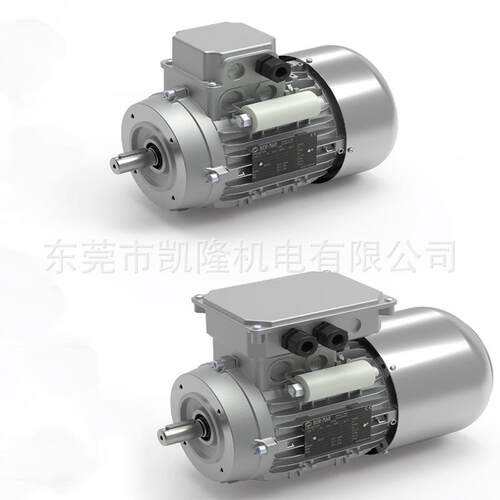 BER-MAR电机 交流