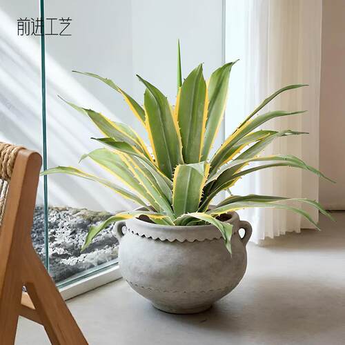 新款手感软胶金边仿真龙舌兰沙漠绿植物商场售楼部室内外造景盆栽