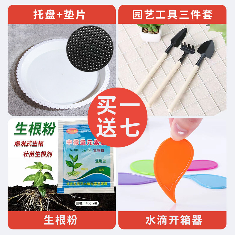 家用金钱以上落国风花盆其他树30特大号口径陶瓷中式地大福字客厅