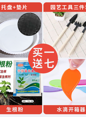 盆栽绿口径家用落地花盆客厅植高级感陶瓷白色号种树特大简约轻奢