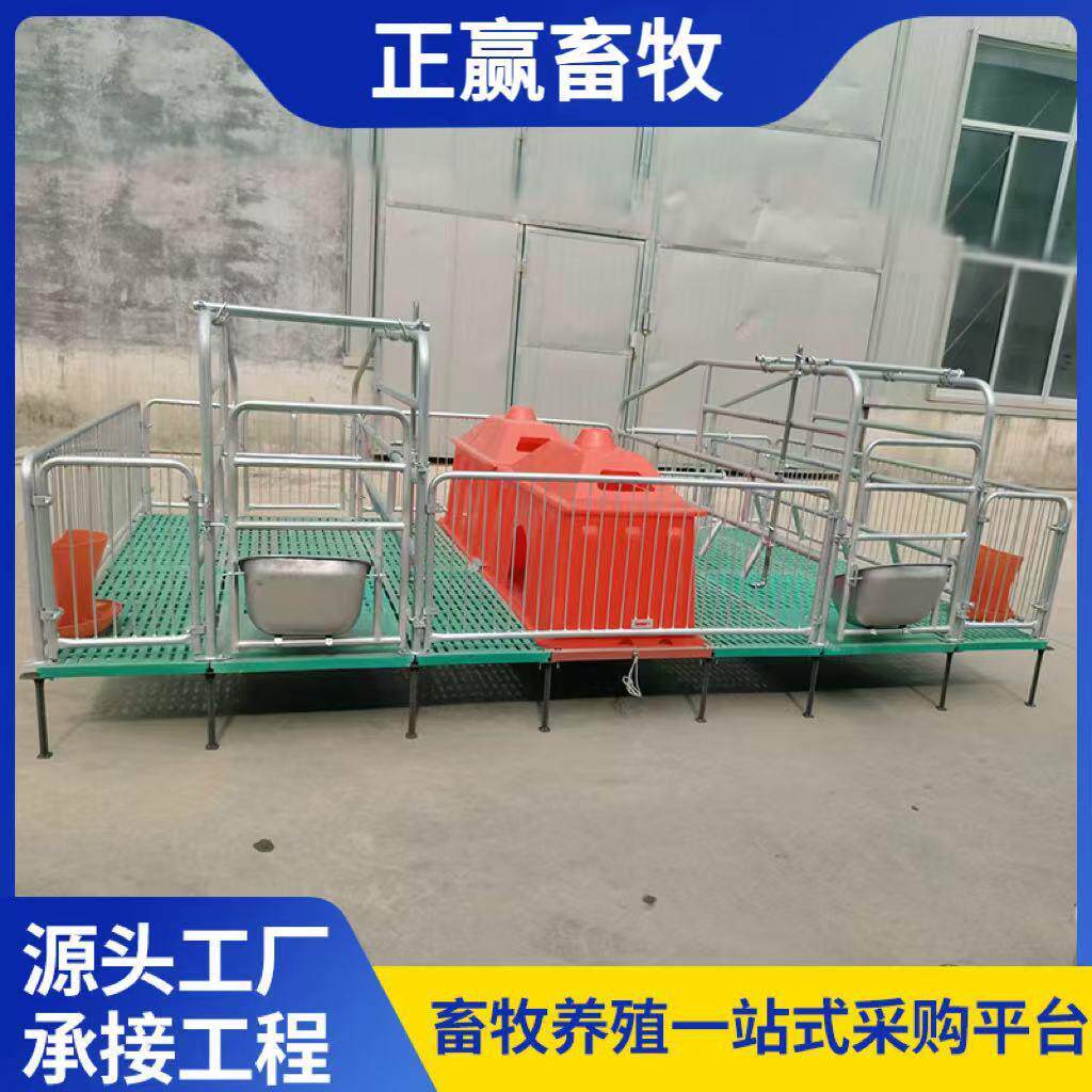 母猪产床猪产床产保两用仔猪产床母猪分娩床小猪床复合双体产床