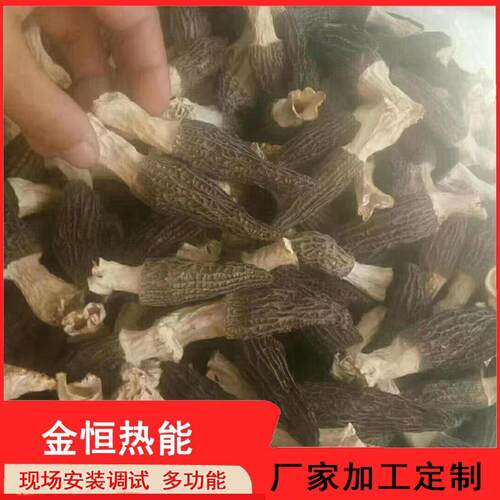 农产品烘干箱电加热香菇烘干房产量大蔬菜脱水干燥设备烘干机