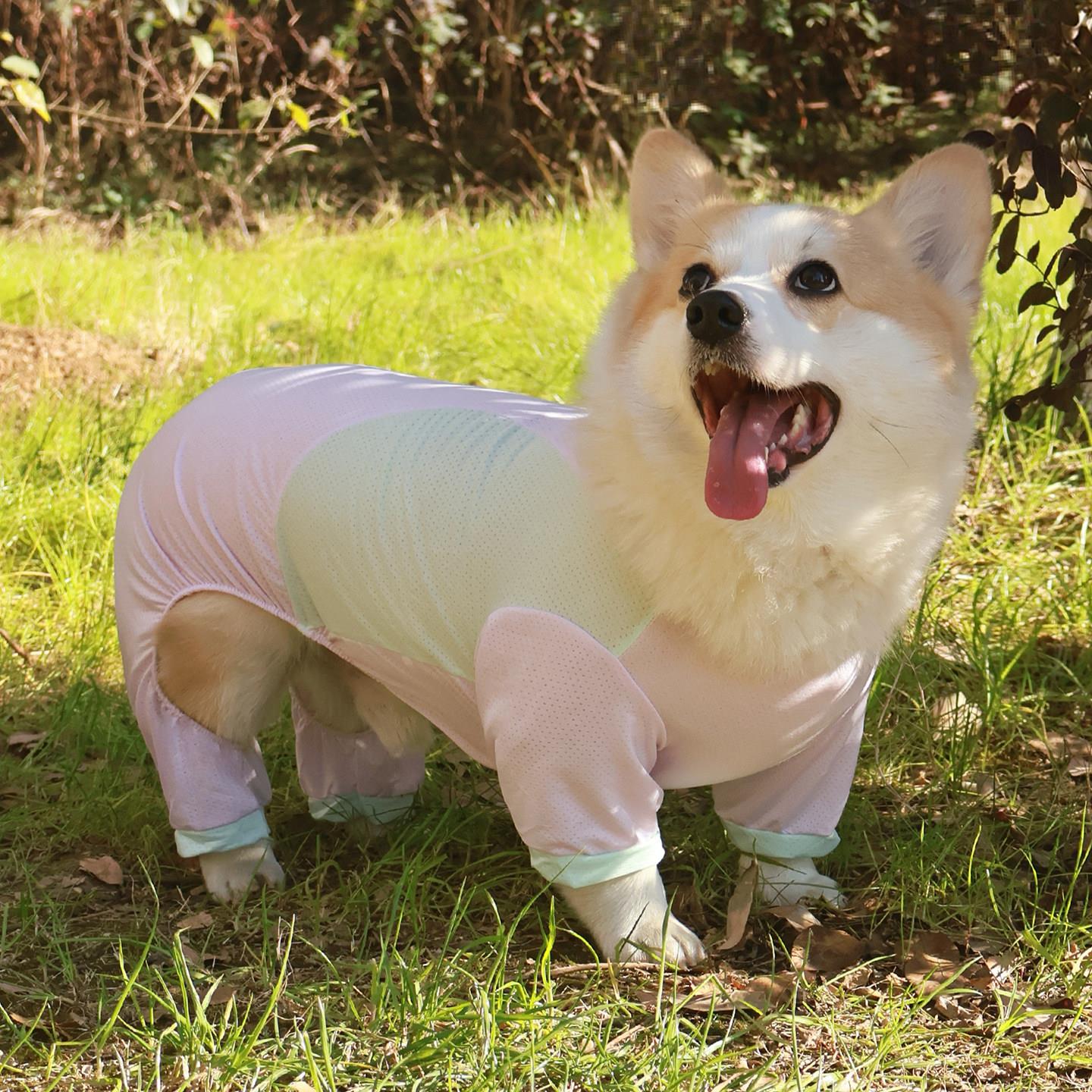 柯基柴犬狗狗凉凉衣服春夏居家睡衣透气防脏防晒防掉毛宠物四脚衣
