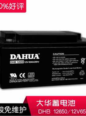 DAHUA 华QGJ蓄电池VDH1270医疗仪器/机器内B置 127AH报警器UP大S