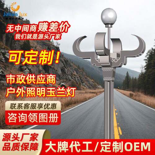 市政工程LED市电路灯道路玉兰灯68米小区公园路灯杆现简约