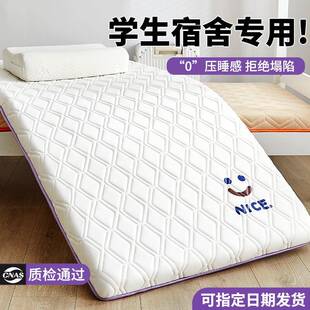 学生宿舍床垫家用卧室软垫单人乳胶垫子租房专用床褥垫被90x190cm