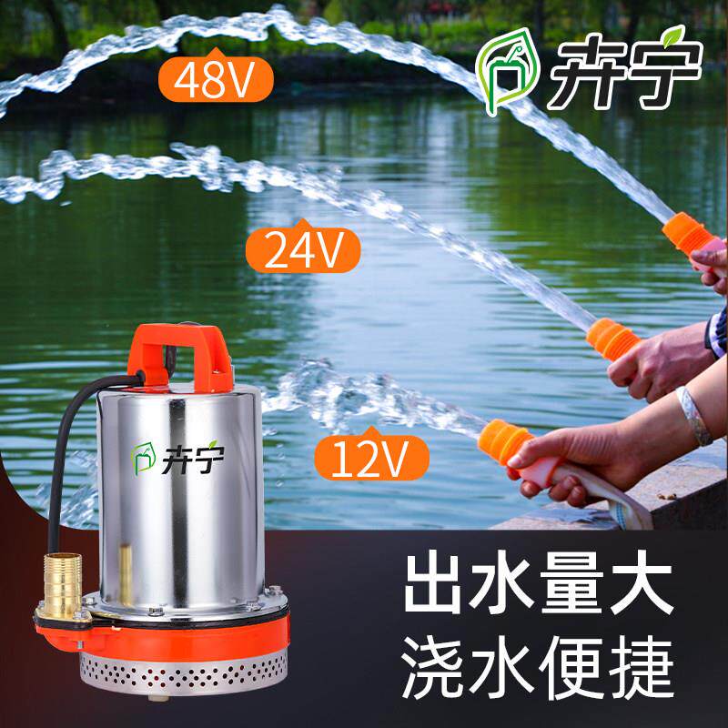 电动潜水泵12V24V48V60V直流电动车抽水泵浇菜水泵浇水泵抽水机