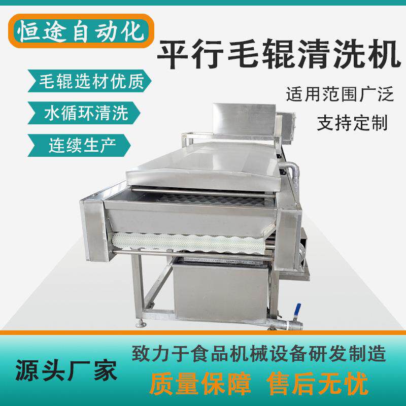 根茎类产品去泥沙设备沙参自动化去杂清洗机罗汉果平行毛辊清洗机