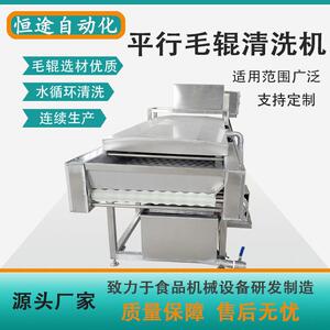 根茎类产品去泥沙设备沙参自动化去杂清洗机罗汉果平行毛辊清洗机